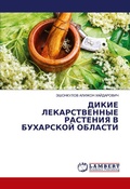 Cover: ????? ????????????? ???????? ? ????????? - LAP Lambert Academic Publishing
