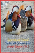 Cover: Surprising and unusual rarities and creatures of the Animal Kingdom. Vol. 1 - Camacho Zoila