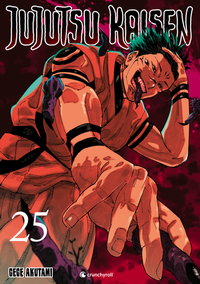 Abbildung von: Jujutsu Kaisen - Band 25 - Crunchyroll Manga
