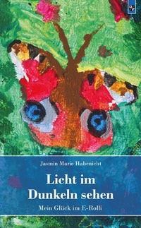 Abbildung von: Licht im Dunkeln sehen - Bernardus Verlag