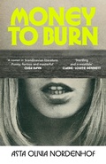 Cover: Money to Burn - Jonathan Cape