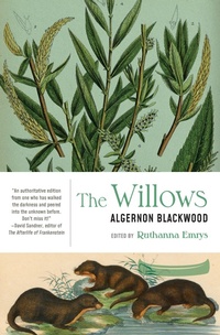 Abbildung von: The Willows - Lanternfish Press