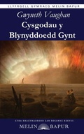 Cover: Cysgodau y Blynyddoedd Gynt - Melin Bapur