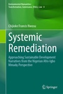Cover: Systemic Remediation - Springer