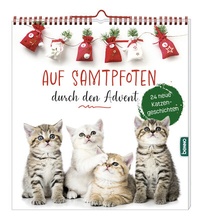 Abbildung von: Auf Samtpfoten durch den Advent - St. Benno