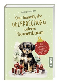 Abbildung von: Eine himmlische Überraschung unterm Tannenbaum - St. Benno
