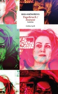 Cover: Tagebruch / Instant - Limbus Verlag