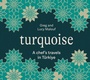 Cover: Turquoise - Hardie Grant Books