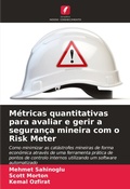 Cover: Metricas quantitativas para avaliar e gerir a seguranca mineira com o Risk Meter - Edicoes Nosso Conhecimento