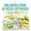 Cover: The Adventures of Peter Cottontail - Design Sound Productions
