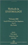 Cover: Small GTPases and Their Regulators, Part B: Rho Family: Volume 256 - Academic Press