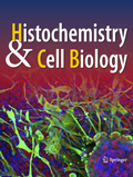 Abbildung von: Histochemistry and Cell Biology - Springer