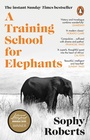 Cover: A Training School for Elephants - Transworld Digital