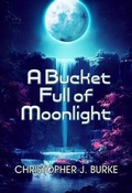 Cover: A Bucket Full of Moonlight - Paper Phoenix Press