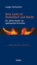 Cover: Dein Licht ist Dunkelheit und Nacht - Echter
