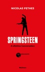 Cover: Springsteen - Wallstein
