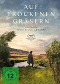 Cover: Auf trockenen Gr&auml;sern - AL!VE Ag