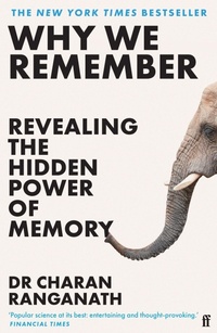 Abbildung von: Why We Remember - Faber & Faber