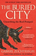 Cover: The Buried City - Hodder & Stoughton
