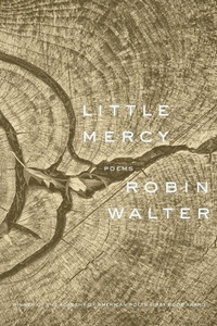 Enlarge image Cover: Little Mercy - Graywolf Press,U.S.