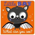 Cover: Little Bat What Can You See? - Make Believe Ideas