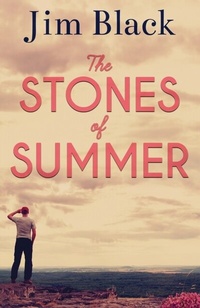 Abbildung von: The Stones of Summer - Outskirts Press