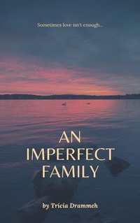 Enlarge image Cover: An Imperfect Family - Tricia Drammeh