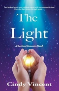 Cover: The Light - Mysteries by Vincent, LLC