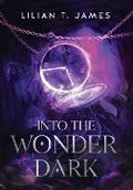 Cover: Into the Wonder Dark - Aleron Books LLC