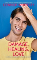 Cover: Damage, Healing, Love: A Sweet Gay University Romance Novella (The English Gay Contemporary Romance Books, #12) - Cgd Publishing