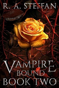 Enlarge image Cover: Vampire Bound: Book Two (Last Vampire World, #8) - Otherlove Publishing, LLC