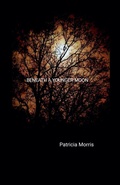 Cover: Beneath a Younger Moon - Patricia Morris