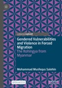 Cover: Gendered Vulnerabilities and Violence in Forced Migration - Palgrave Macmillan