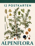 Cover: Alpenflora - Verlag Anton Pustet Salzburg