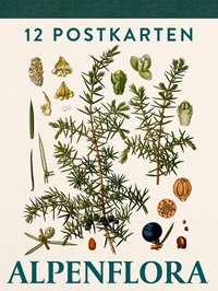 Enlarge image Cover: Alpenflora - Verlag Anton Pustet Salzburg