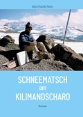 Cover: Schneematsch am Kilimandscharo - INNSALZ