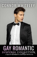 Cover: Gay Romantic Suspense Collection: 3 Gay Spy Romantic Suspense Novellas (The English Gay Contemporary Romance Books) - Cgd Publishing