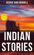 Cover: Indian Stories - Musaicum Books