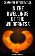 Cover: In the Dwellings of the Wilderness (Musaicum Vintage Mysteries) - Musaicum Books