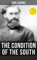 Cover: The Condition of the South - Musaicum Books