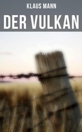Cover: Der Vulkan - Musaicum Books