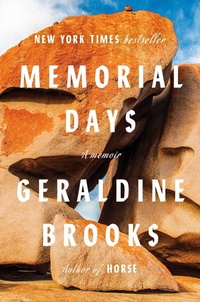 Abbildung von: Memorial Days - Viking