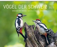 Abbildung von: Vögel der Schweiz 2025 - Weber Verlag AG