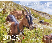 Abbildung von: Ziegenkalender / Calendrier des chèvres / Calendario delle capre 2025 - Weber Verlag AG