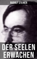 Cover: Der Seelen Erwachen - Musaicum Books