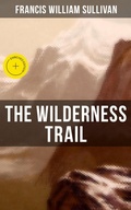 Cover: The Wilderness Trail - Musaicum Books