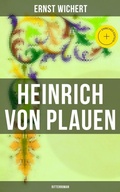 Cover: Heinrich von Plauen: Ritterroman - Musaicum Books