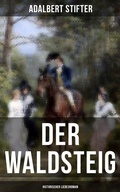 Cover: Der Waldsteig (Historischer Liebesroman) - Musaicum Books