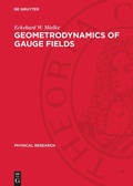 Cover: Geometrodynamics of Gauge Fields - De Gruyter