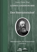 Cover: Der Sternsteinhof - andersseitig.de